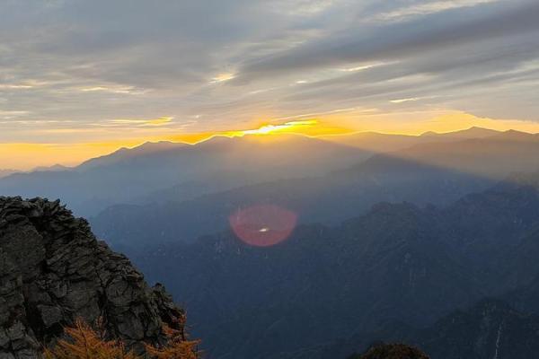 探讨“忙碌命”：在快节奏生活中寻找内心的宁静与幸福