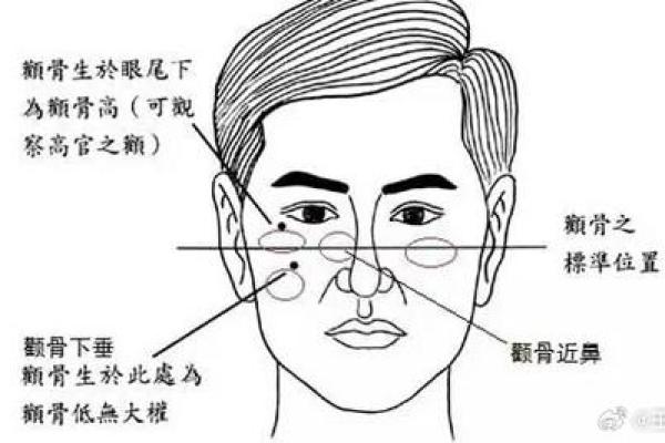 男人眼眉短的命运解析：性格与命格的深层联系