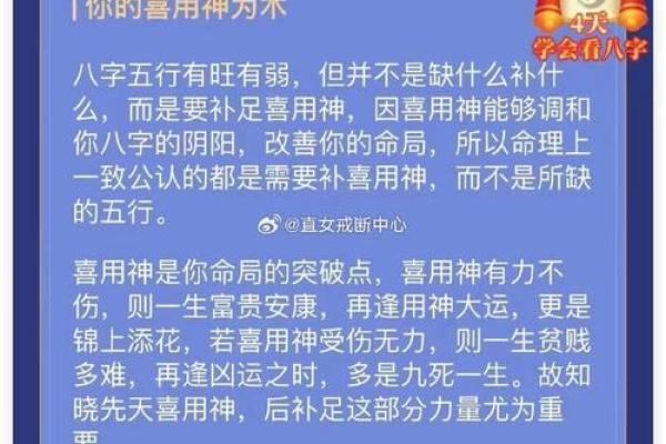 命字的奥秘：探索与命相关的成语大全与它们的深刻含义