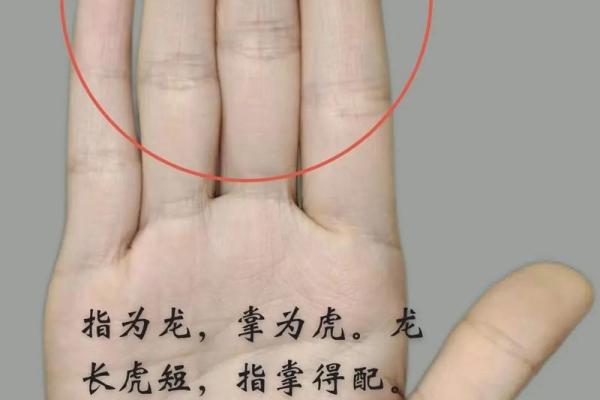 揭秘：女人手纹命运解析，哪种手纹最优美最富贵？