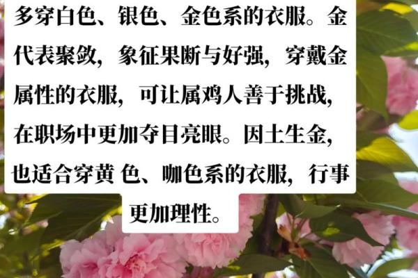 属鸡人命缺颜色解析：如何选择对运势有帮助的颜色