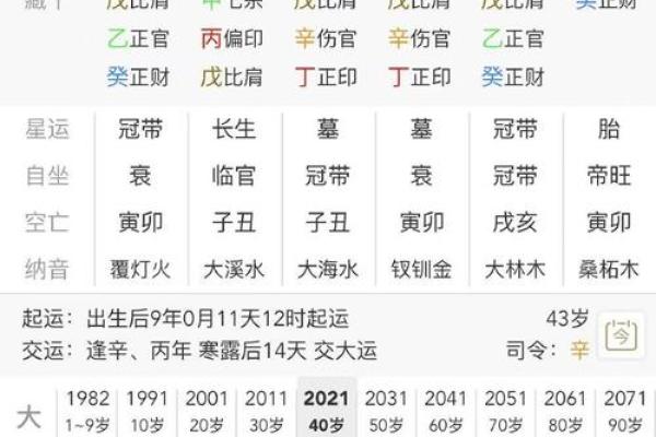 食神太旺的女命解析：智慧与财富的双重象征