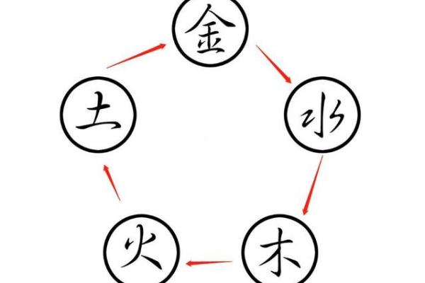 1996年出生的人：命运与五行的神秘之旅