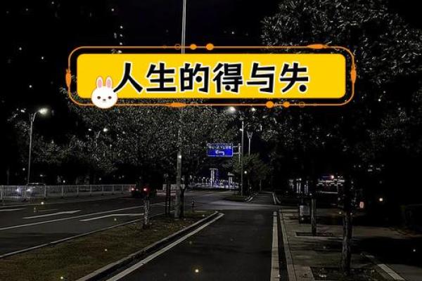 《命运的羁绊：透过《没那种命》看人生的无常与坚持》