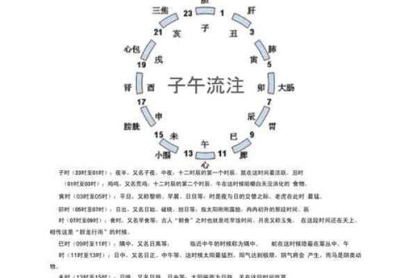 解读“命古今”，生肖背后的故事与启示