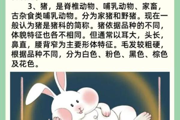 揭秘42岁属什么生肖？探讨命运与生肖的神秘关系！