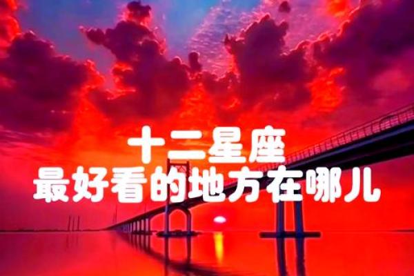 揭秘：哪些星座最美丽且命运亨通？