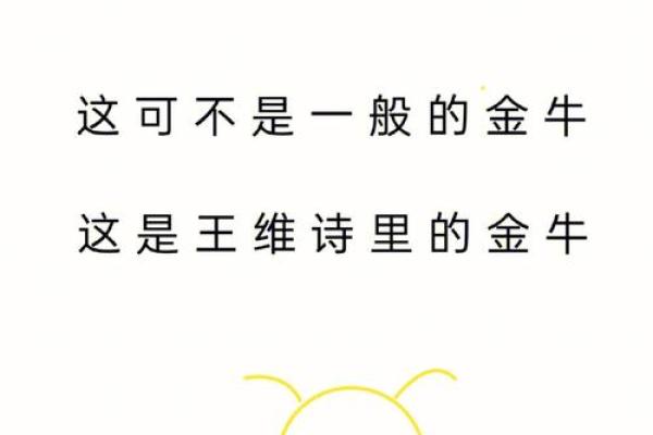 探秘属小龙的人：命理与性格的深度解析