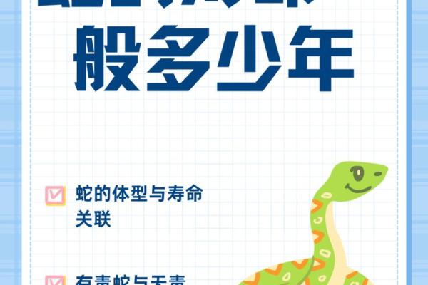 1965年蛇命的迷人特质与生活启示
