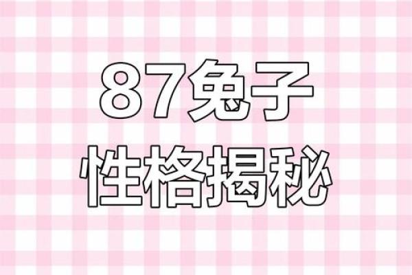1987年兔年宝宝的命运与性格解析