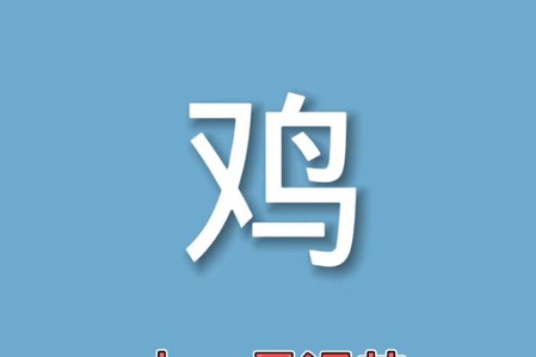 1981年的鸡年命运揭秘：了解你的命理与性格特征