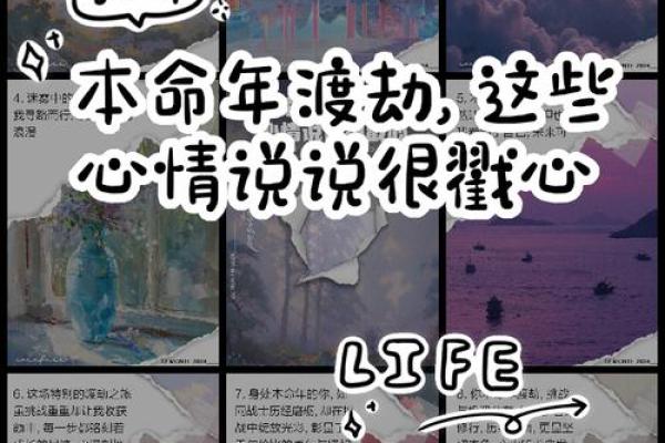 批命日：解密你的生肖与命运之旅