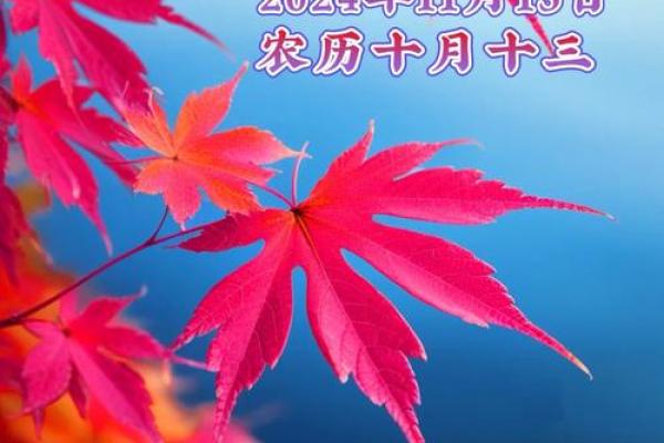 1987年属兔，兔年人缘佳，幸福生活常相伴！