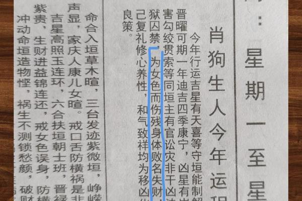 属狗女性的命格解析：生活智慧与独特魅力的交融
