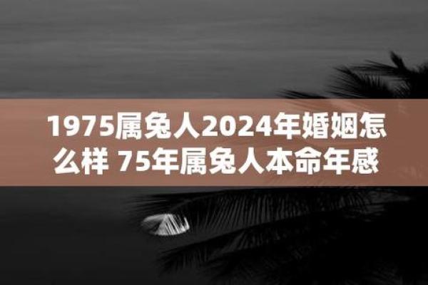 揭秘75年出生的人命运与楼层的神秘关系