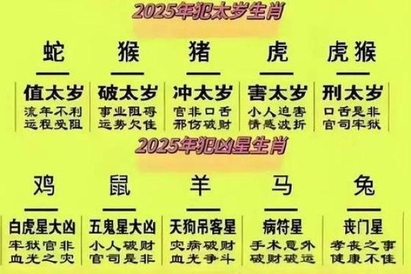 揭开2010年虎年的命理秘密：辉煌与挑战共存的生肖人生
