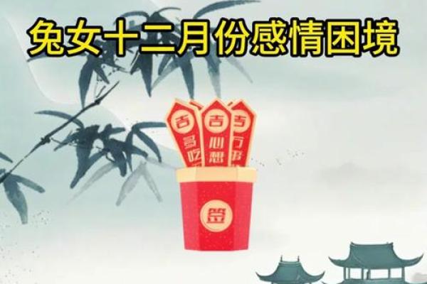 1999年出生的兔子命运解析:叩响机遇之门的精彩人生 1999年出生的兔子命运解析:叩响机遇之门的精彩人生