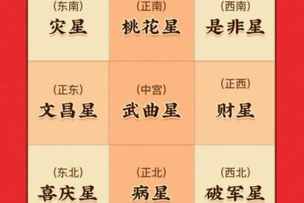 金命与生肖的完美搭档：哪种生肖最契合你的命理？