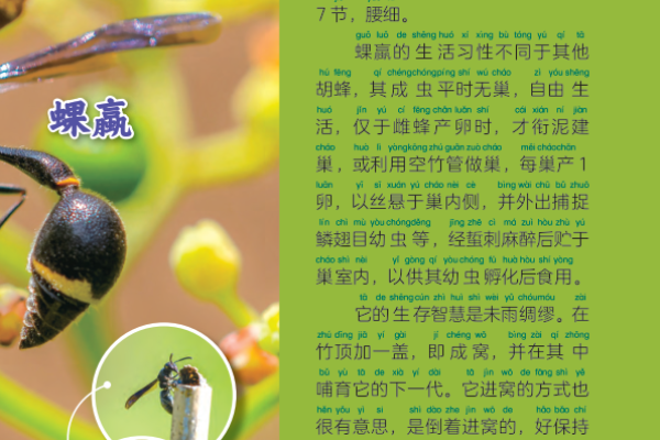 87岁属什么生肖及其命运探秘:解密老年生命的智慧和价值 87岁属什么生肖及其命运探秘:解密老年生命的智慧和价值