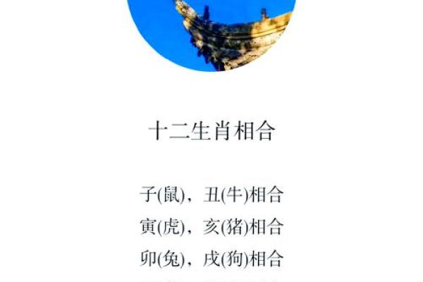 探寻生肖命运：每年的生肖与命运之间的奇妙关联