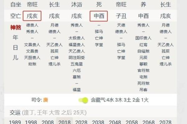 1995年纳音探秘:揭开“乙亥”命理的神秘面纱 1995年纳音探秘:揭开“乙亥”命理的神秘面纱