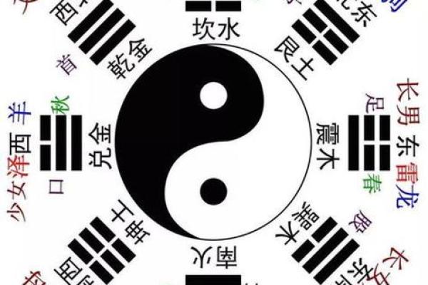 水命之人：适合的性格特征与生活方式探秘