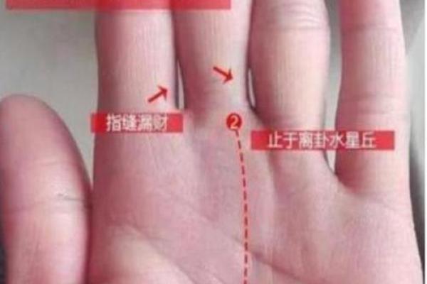 1953年出生的命格分析:揭示你的命运之钥! 1953年出生的命格分析:揭示你的命运之钥!