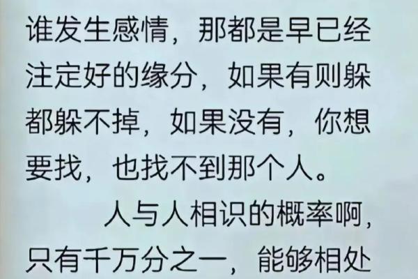 握住手的意义：人与人之间的情感纽带