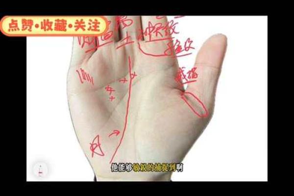 手上的斗数：你的命运从掌心看起！