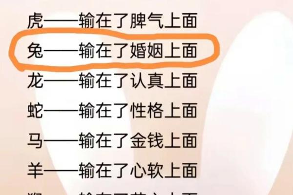 揭秘土兔命人的命理特征与注意事项