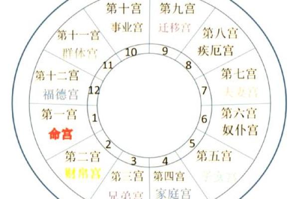女命与孩子星座：揭示命运中的神秘关系