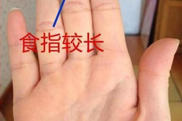解读手纹的奥秘：掌握命运之钥，揭示人生的潜力与趋势