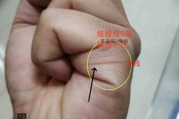 解读手纹的奥秘：掌握命运之钥，揭示人生的潜力与趋势