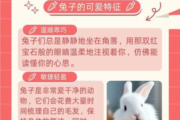 2001年出生的兔子命理揭秘：性格、运势与未来
