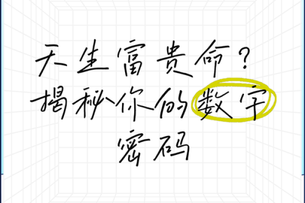 富贵命：揭开命运背后的奢华与智慧之道