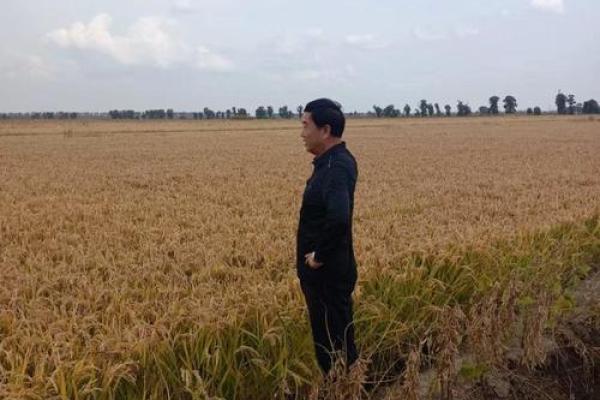 1994年腊月十一:一场冬日的温情记忆与故事 1994年腊月十一:一场冬日的温情记忆与故事