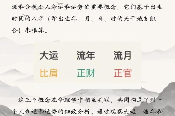 甲午流年：探秘命格与人生的奇妙交织