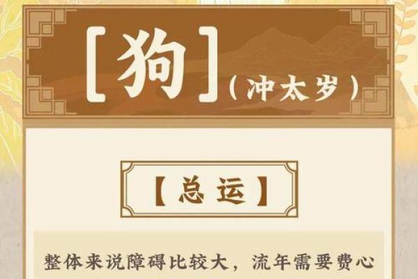 34岁属狗之命：性格、运势与人生智慧的全面解析