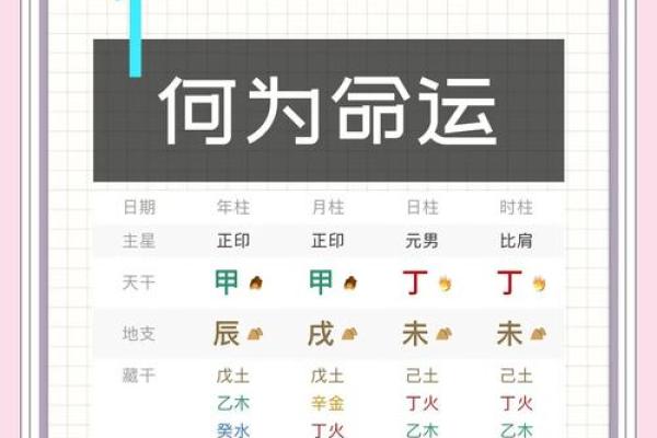 探究命课：揭示人生的奥秘与走向成功的秘诀