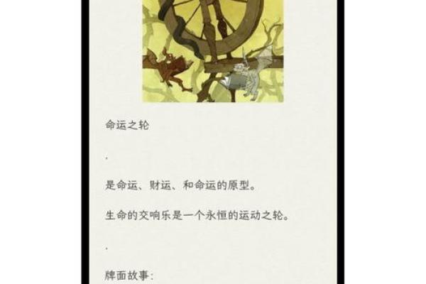 探秘命运之轮：不同出生年份的命运解析