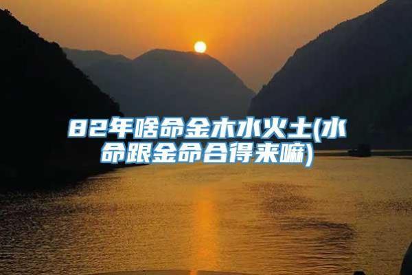 大水命的特性与人生指导：如何顺风顺水，逆境中成长