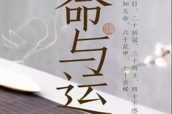 揭开金羊命与土羊命的神秘面纱，探寻两者的命运轨迹与生活哲学