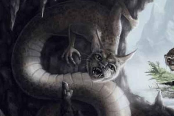 猫有18条命，探秘这神秘生物的超能力与传奇