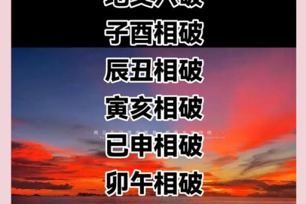 1993年出生的鸡命：揭示其命运与个性特征的奥秘