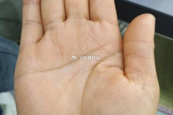 手掌粗手腕细，揭示你命运的奥秘！