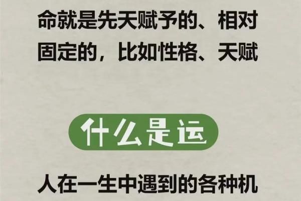 1976年出生的人命运与性格特征解析