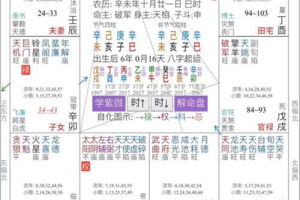 揭秘紫薇命盘：探寻你命运的秘密与人生的智慧