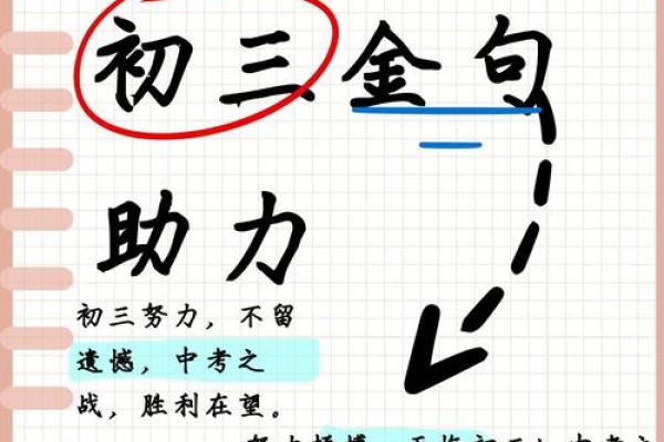 功夫在命里：探寻生命中的努力与机遇