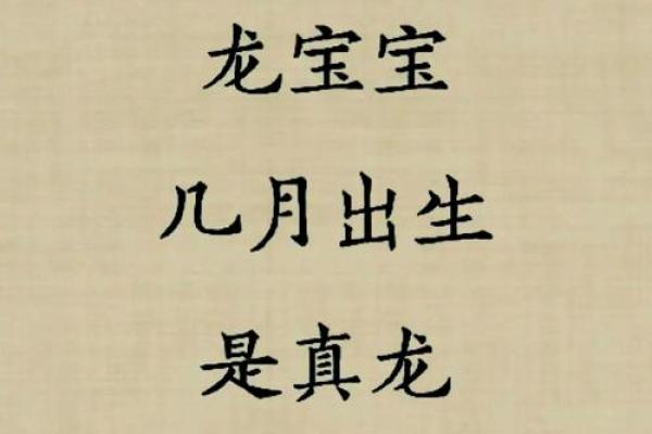 2023年龙宝宝命理解析：未来与性格的完美结合