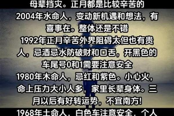 属猴的人命理解析：优缺点与未来运势深度剖析